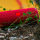 Comparatifs : Enceinte portable